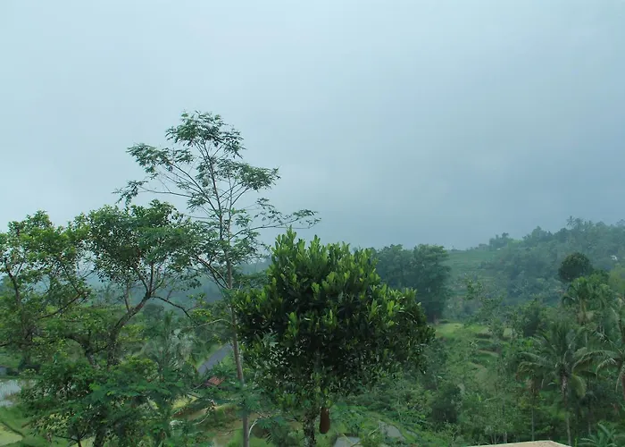 Lumbung 2*