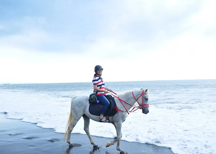 Lumbung 2*